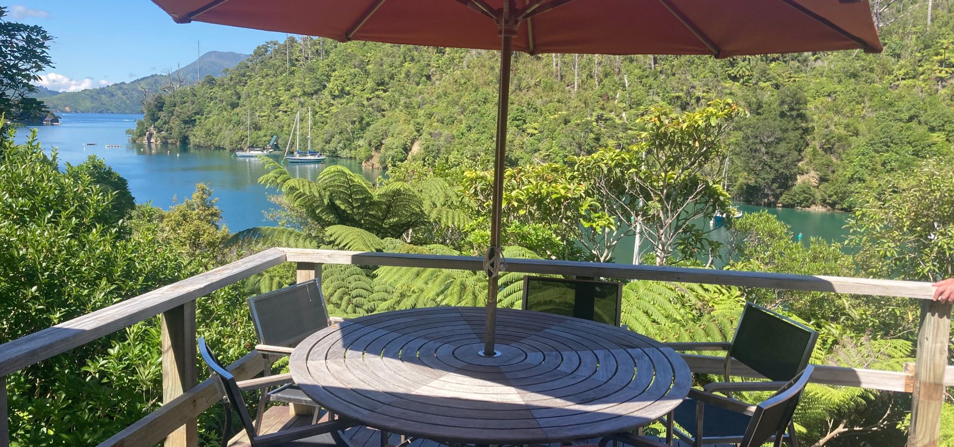 Native bush surrounding Portobello Bach Double Cove